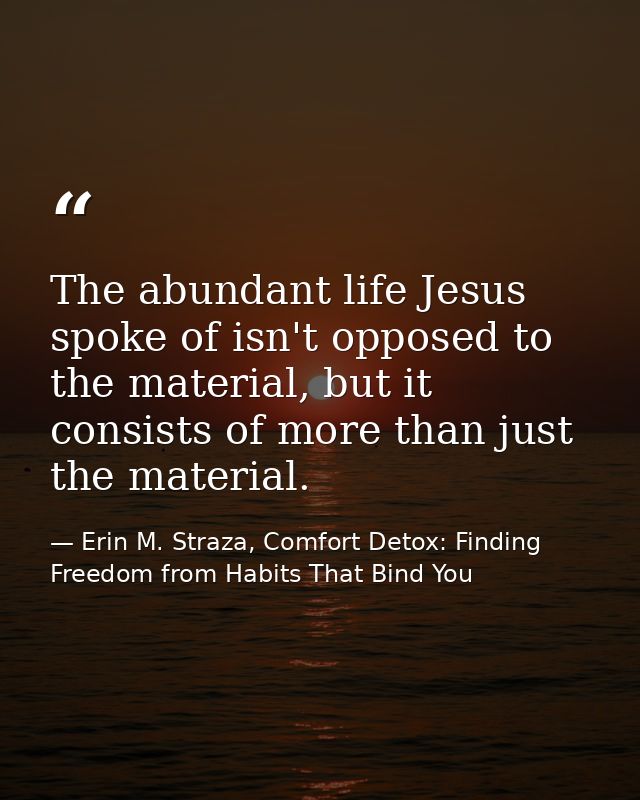 The abundant life Jesus spoke of isn't opposed to the material, but it consists of more than just the material. — Erin M. Straza, Comfort Detox: Finding Freedom from Habits That Bind You