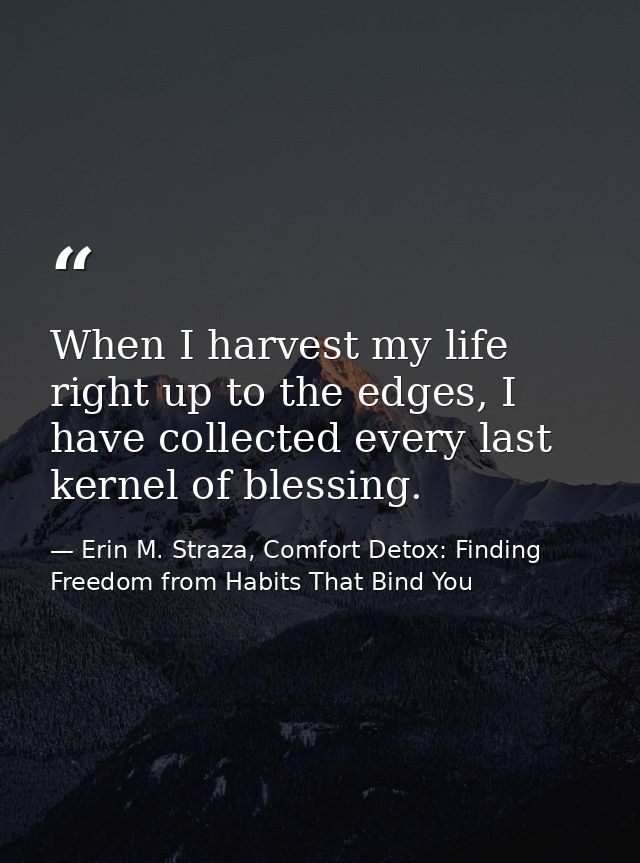 When I harvest my life right up to the edges, I have collected every last kernel of blessing. — Erin M. Straza, Comfort Detox: Finding Freedom from Habits That Bind You