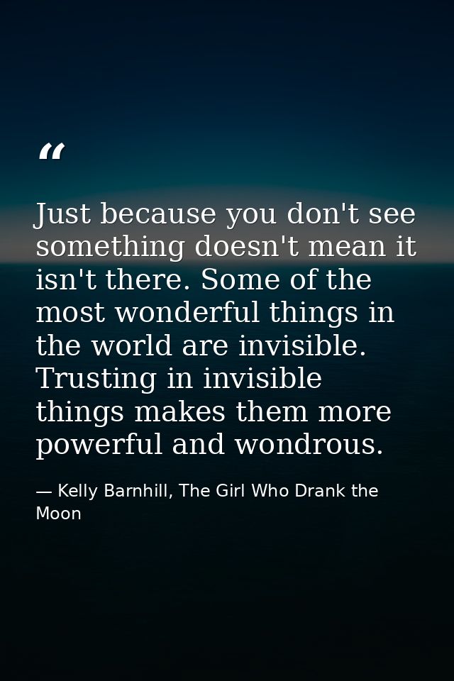 Just because you don't see something doesn't mean it isn't there. Some of the most wonderful things in the world are inv — Kelly Barnhill, The Girl Who Drank the Moon
