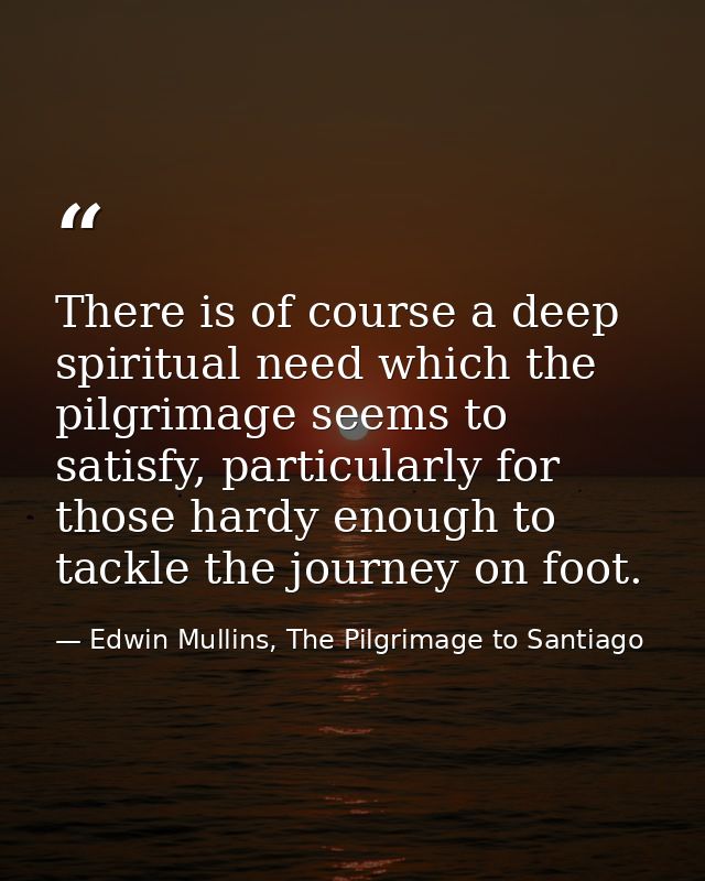 There is of course a deep spiritual need which the pilgrimage seems to satisfy, particularly for those hardy enough to t — Edwin Mullins, The Pilgrimage to Santiago