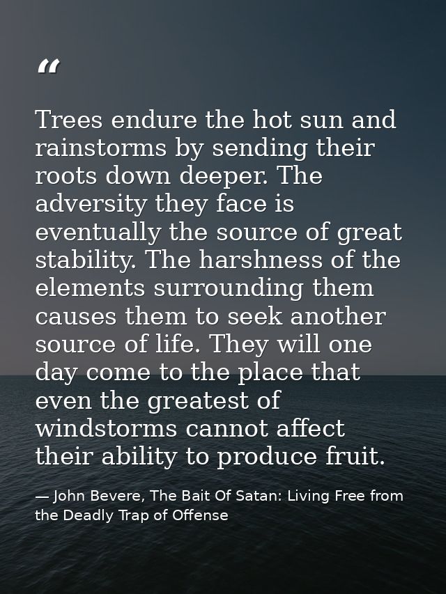 Trees endure the hot sun and rainstorms by sending their roots down deeper. The adversity they face is eventually the so — John Bevere, The Bait Of Satan: Living Free from the Deadly Trap of Offense