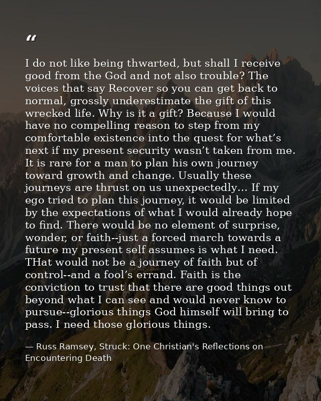 I do not like being thwarted, but shall I receive good from the God and not also trouble? The voices that say Recover so — Russ Ramsey, Struck: One Christian's Reflections on Encountering Death