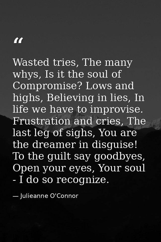 Wasted tries, The many whys, Is it the soul of Compromise? Lows and highs, Believing in lies, In life we have to improvi — Julieanne O'Connor