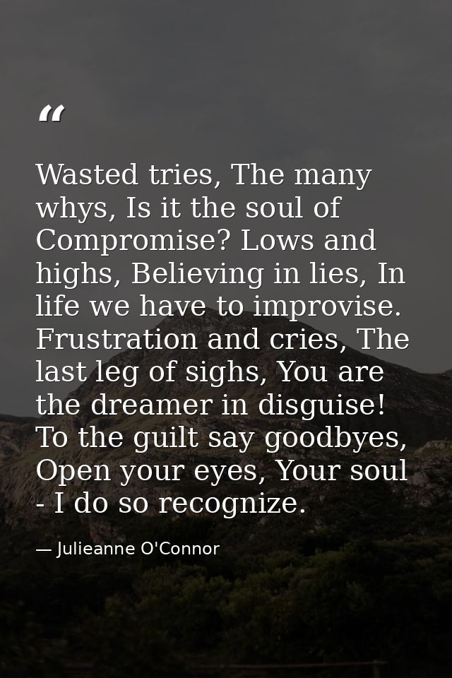 Wasted tries, The many whys, Is it the soul of Compromise? Lows and highs, Believing in lies, In life we have to improvi — Julieanne O'Connor