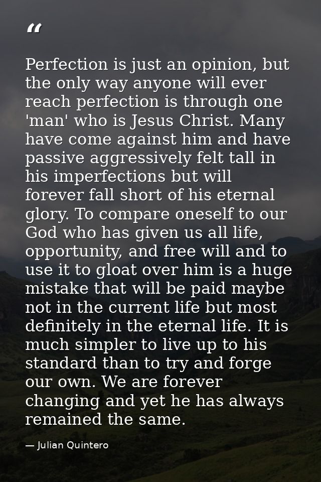 Perfection is just an opinion, but the only way anyone will ever reach perfection is through one 'man' who is Jesus Chri — Julian Quintero