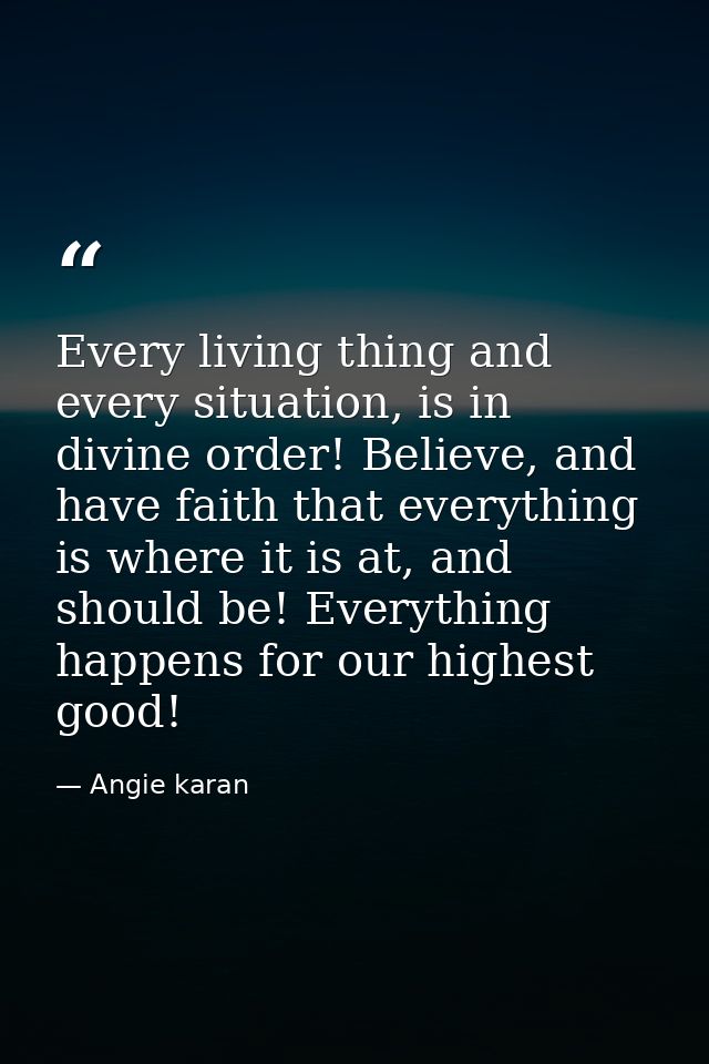 Every living thing and every situation, is in divine order! Believe, and have faith that everything is where it is at, a — Angie karan
