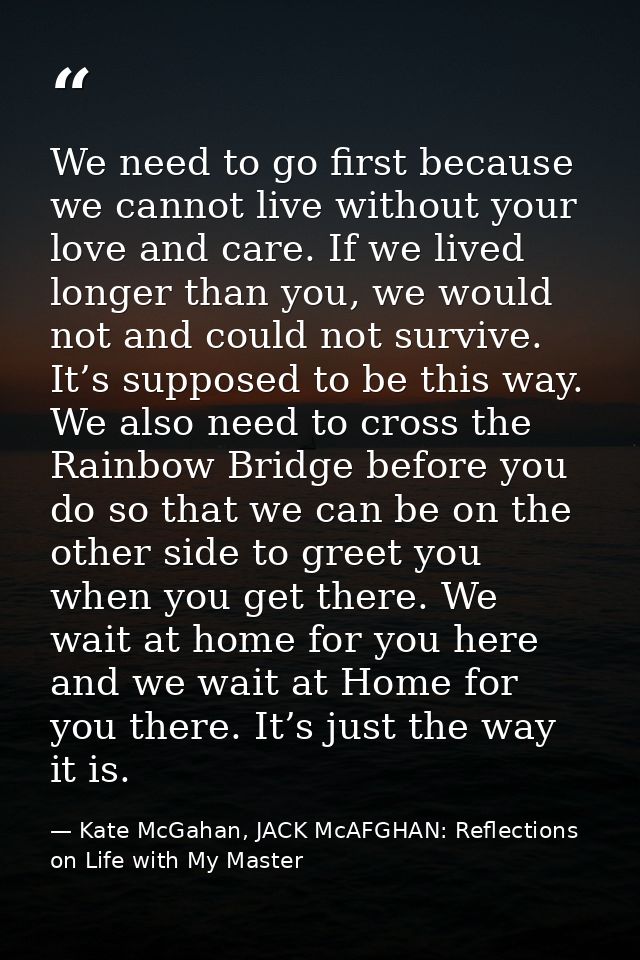 We need to go first because we cannot live without your love and care. If we lived longer than you, we would not and cou — Kate McGahan, JACK McAFGHAN: Reflections on Life with My Master