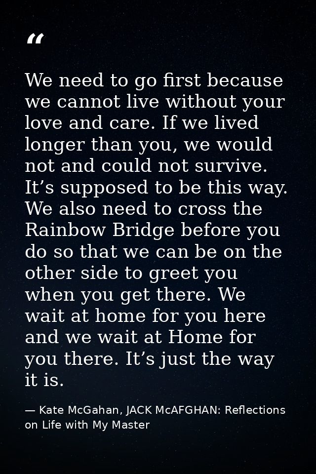 We need to go first because we cannot live without your love and care. If we lived longer than you, we would not and cou — Kate McGahan, JACK McAFGHAN: Reflections on Life with My Master