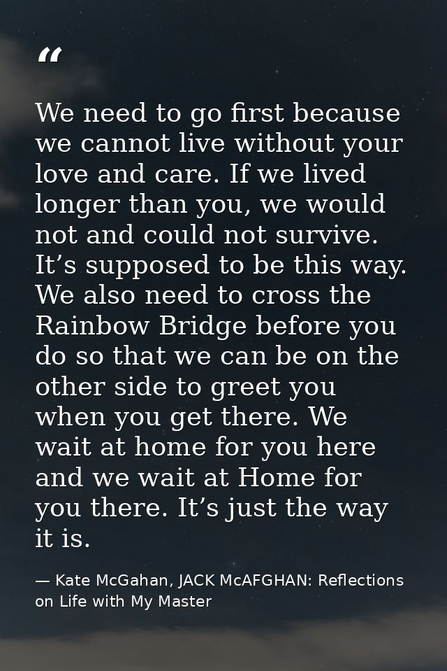 We need to go first because we cannot live without your love and care. If we lived longer than you, we would not and cou — Kate McGahan, JACK McAFGHAN: Reflections on Life with My Master