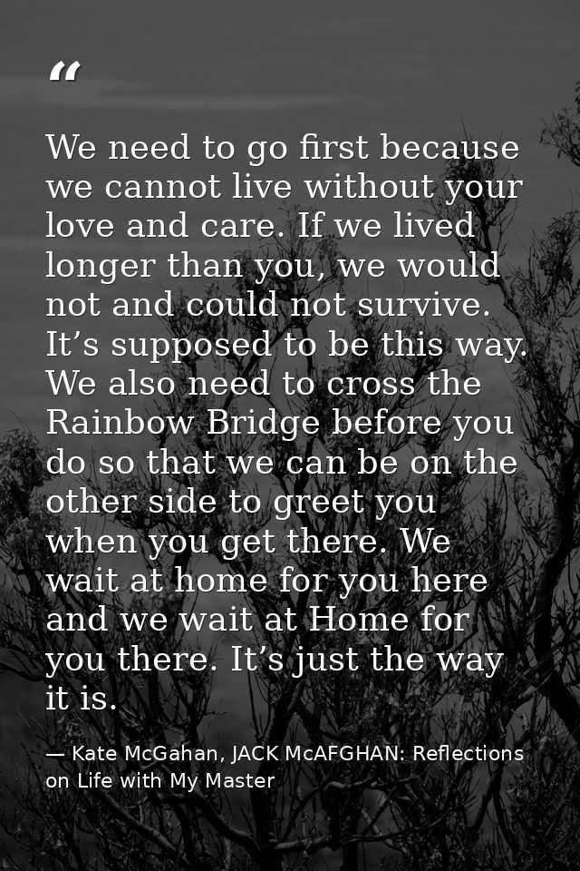 We need to go first because we cannot live without your love and care. If we lived longer than you, we would not and cou — Kate McGahan, JACK McAFGHAN: Reflections on Life with My Master