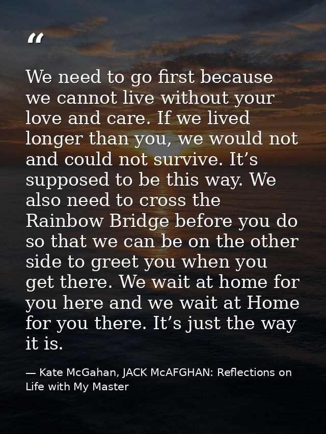 We need to go first because we cannot live without your love and care. If we lived longer than you, we would not and cou — Kate McGahan, JACK McAFGHAN: Reflections on Life with My Master