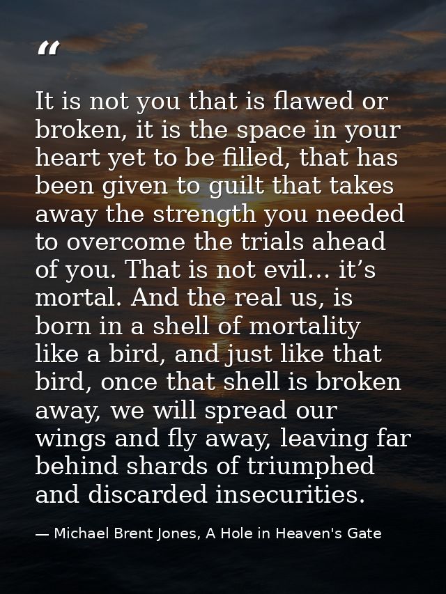 It is not you that is flawed or broken, it is the space in your heart yet to be filled, that has been given to guilt tha — Michael Brent Jones, A Hole in Heaven's Gate