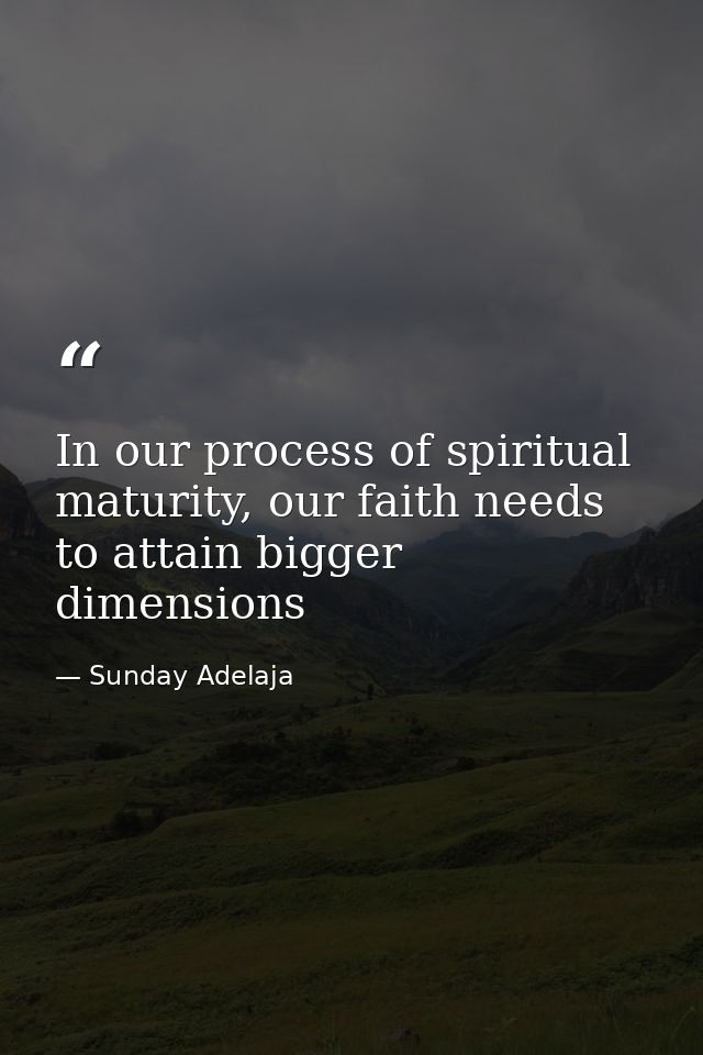 In our process of spiritual maturity, our faith needs to attain bigger dimensions — Sunday Adelaja