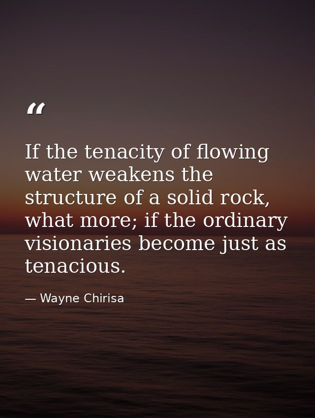 If the tenacity of flowing water weakens the structure of a solid rock, what more; if the ordinary visionaries become ju — Wayne Chirisa