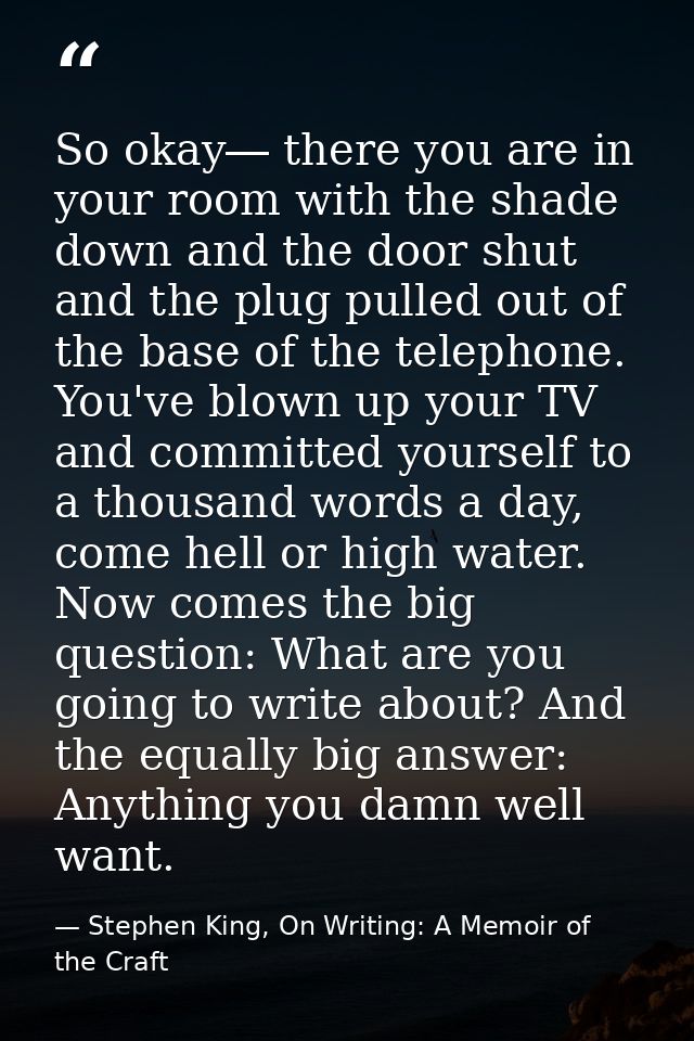 So okay― there you are in your room with the shade down and the door shut and the plug pulled out of the base of the tel — Stephen King, On Writing: A Memoir of the Craft