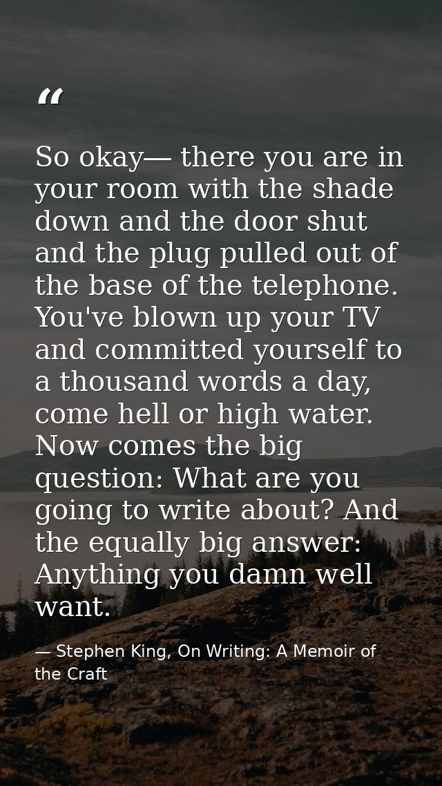 So okay― there you are in your room with the shade down and the door shut and the plug pulled out of the base of the tel — Stephen King, On Writing: A Memoir of the Craft