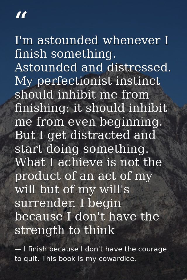 I'm astounded whenever I finish something. Astounded and distressed. My perfectionist instinct should inhibit me from fi — I finish because I don't have the courage to quit. This book is my cowardice.