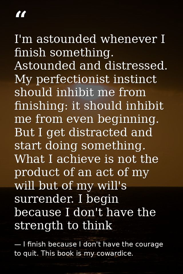 I'm astounded whenever I finish something. Astounded and distressed. My perfectionist instinct should inhibit me from fi — I finish because I don't have the courage to quit. This book is my cowardice.