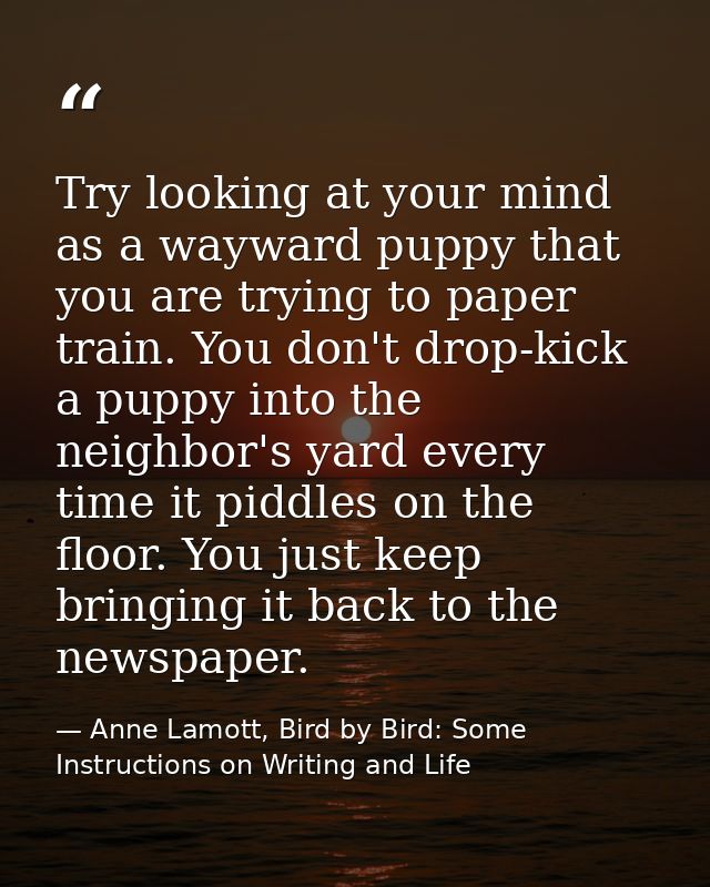 Try looking at your mind as a wayward puppy that you are trying to paper train. You don't drop-kick a puppy into the nei — Anne Lamott, Bird by Bird: Some Instructions on Writing and Life