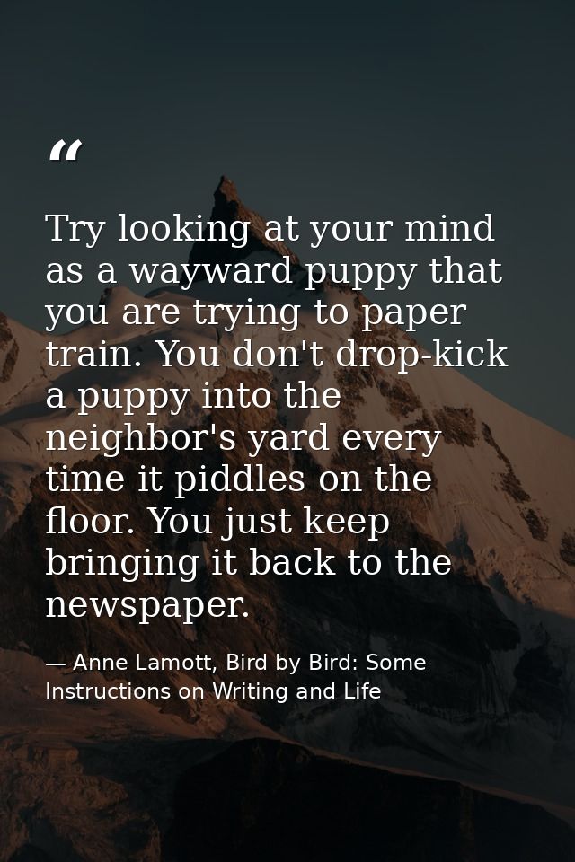 Try looking at your mind as a wayward puppy that you are trying to paper train. You don't drop-kick a puppy into the nei — Anne Lamott, Bird by Bird: Some Instructions on Writing and Life