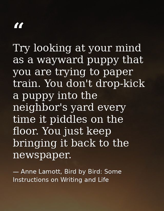 Try looking at your mind as a wayward puppy that you are trying to paper train. You don't drop-kick a puppy into the nei — Anne Lamott, Bird by Bird: Some Instructions on Writing and Life