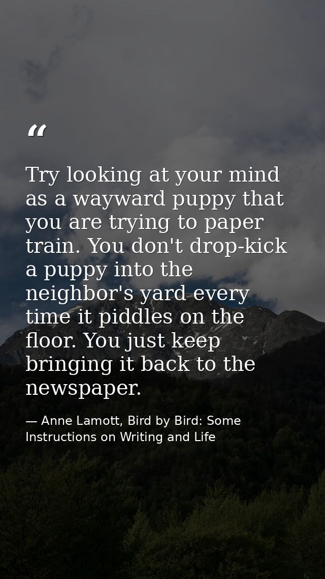 Try looking at your mind as a wayward puppy that you are trying to paper train. You don't drop-kick a puppy into the nei — Anne Lamott, Bird by Bird: Some Instructions on Writing and Life