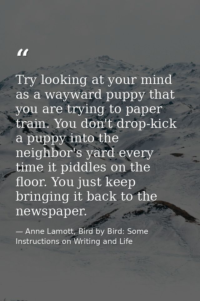 Try looking at your mind as a wayward puppy that you are trying to paper train. You don't drop-kick a puppy into the nei — Anne Lamott, Bird by Bird: Some Instructions on Writing and Life