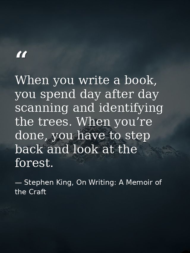When you write a book, you spend day after day scanning and identifying the trees. When you’re done, you have to step ba — Stephen King, On Writing: A Memoir of the Craft