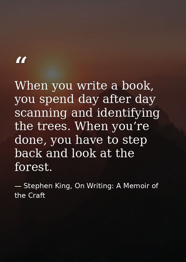 When you write a book, you spend day after day scanning and identifying the trees. When you’re done, you have to step ba — Stephen King, On Writing: A Memoir of the Craft