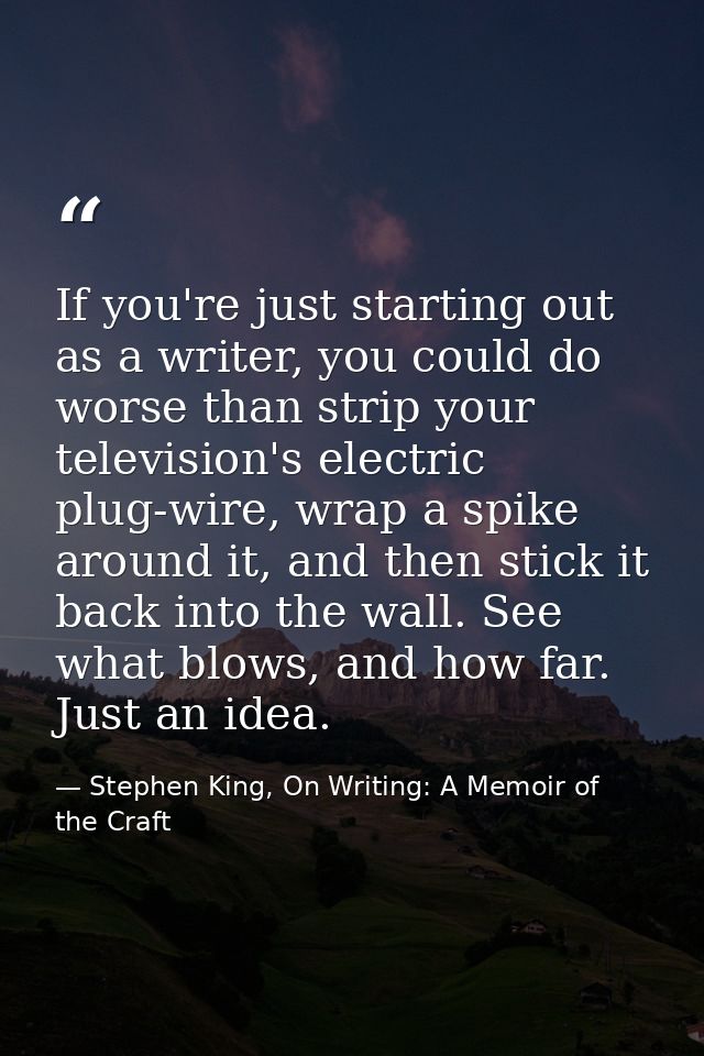 If you're just starting out as a writer, you could do worse than strip your television's electric plug-wire, wrap a spik — Stephen King, On Writing: A Memoir of the Craft