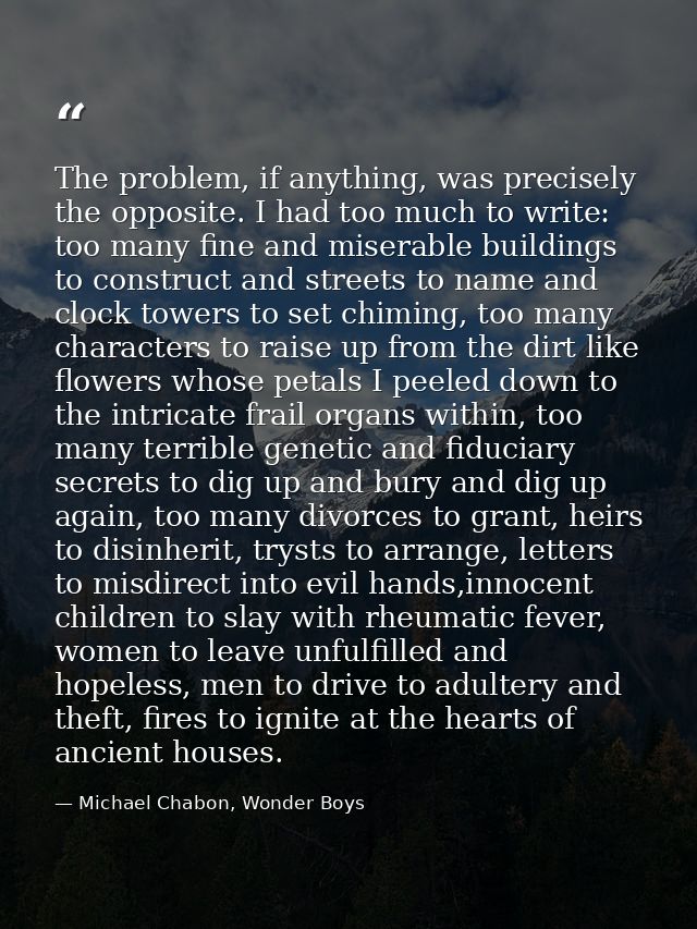 The problem, if anything, was precisely the opposite. I had too much to write: too many fine and miserable buildings to  — Michael Chabon, Wonder Boys