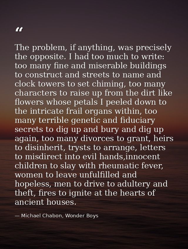 The problem, if anything, was precisely the opposite. I had too much to write: too many fine and miserable buildings to  — Michael Chabon, Wonder Boys