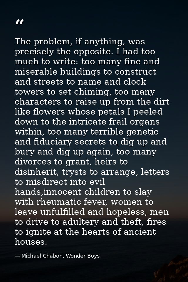 The problem, if anything, was precisely the opposite. I had too much to write: too many fine and miserable buildings to  — Michael Chabon, Wonder Boys