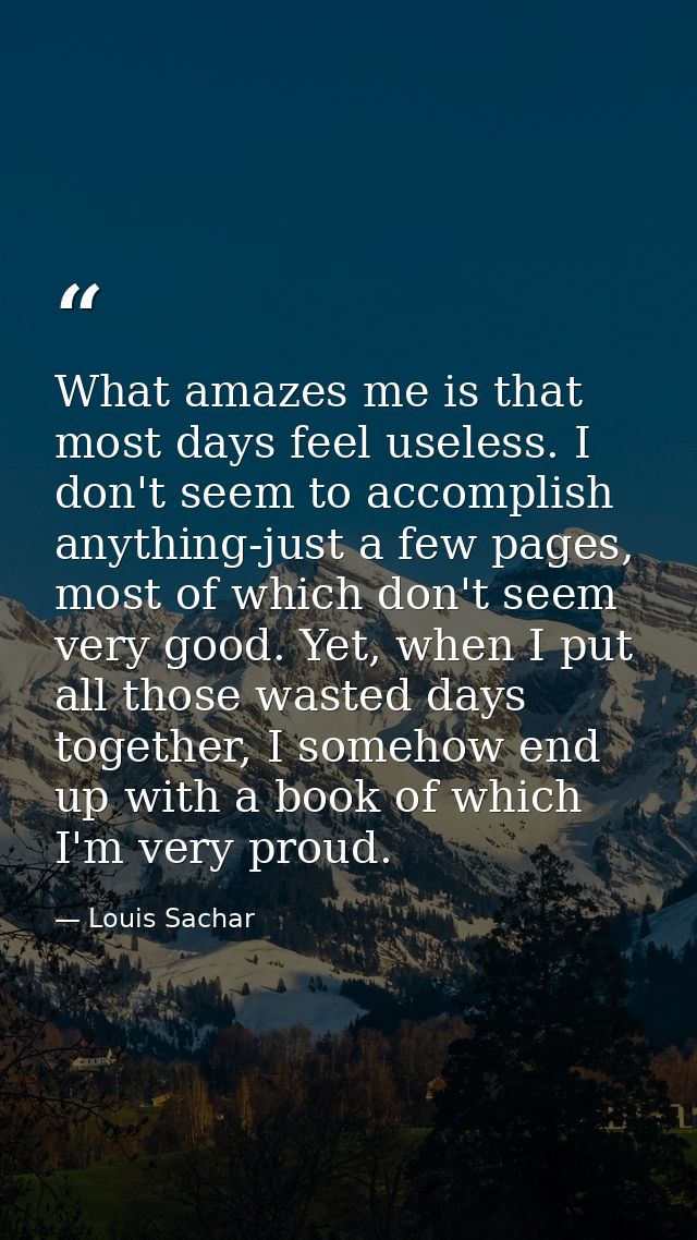 What amazes me is that most days feel useless. I don't seem to accomplish anything-just a few pages, most of which don't — Louis Sachar