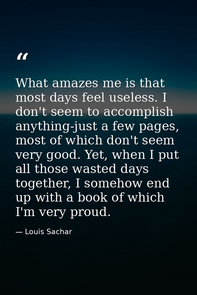 What amazes me is that most days feel useless. I don't seem to accomplish anything-just a few pages, most of which don't — Louis Sachar