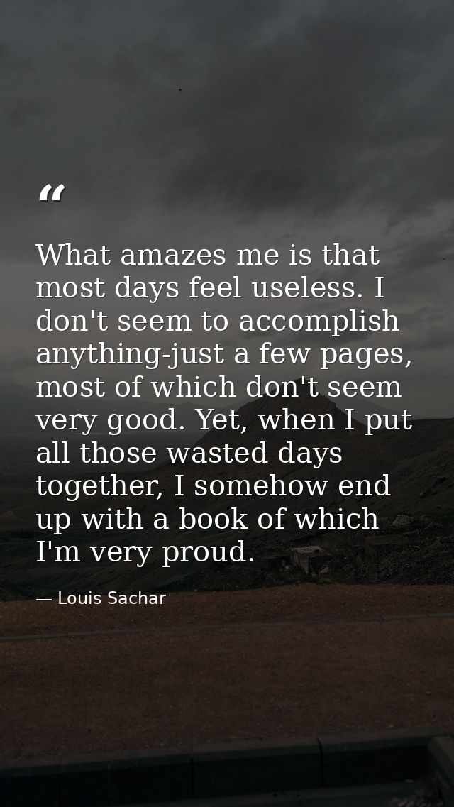 What amazes me is that most days feel useless. I don't seem to accomplish anything-just a few pages, most of which don't — Louis Sachar