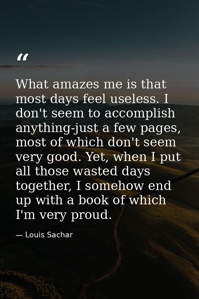 What amazes me is that most days feel useless. I don't seem to accomplish anything-just a few pages, most of which don't — Louis Sachar
