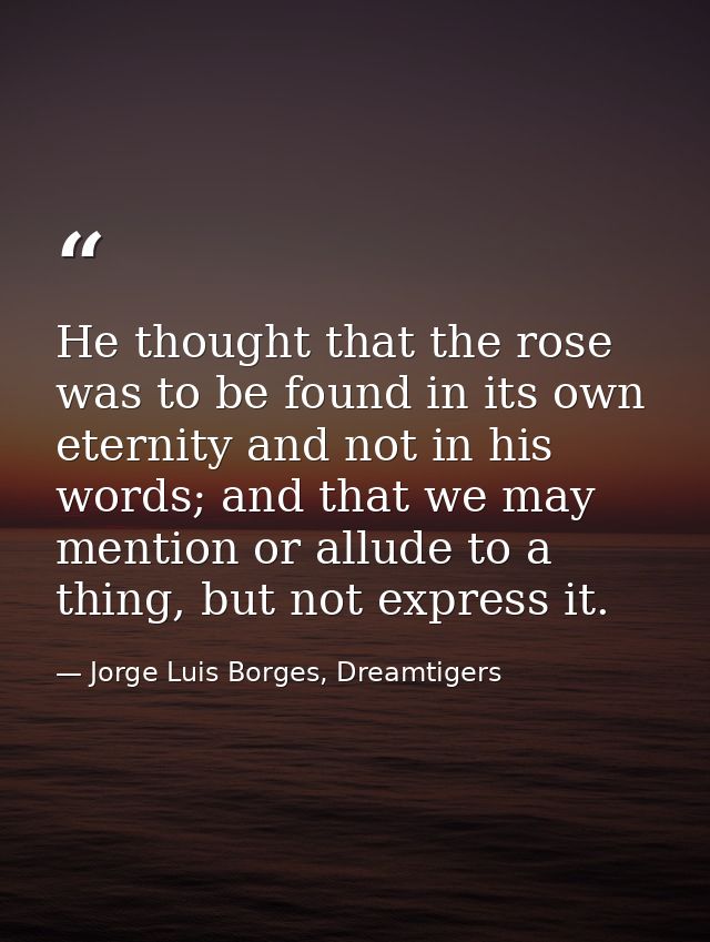 He thought that the rose was to be found in its own eternity and not in his words; and that we may mention or allude to  — Jorge Luis Borges, Dreamtigers