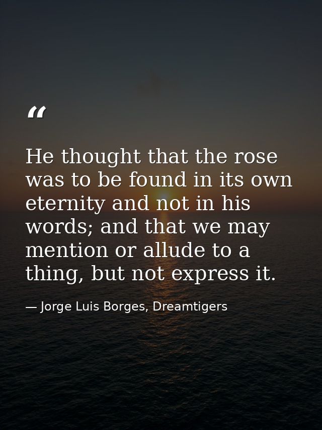 He thought that the rose was to be found in its own eternity and not in his words; and that we may mention or allude to  — Jorge Luis Borges, Dreamtigers