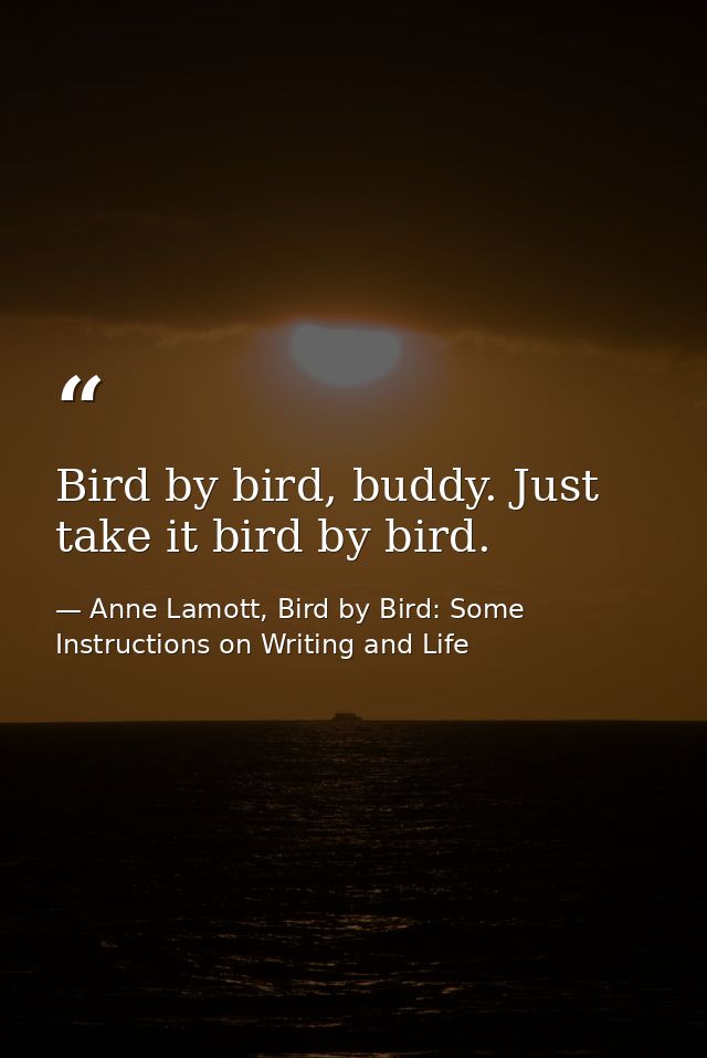 Bird by bird, buddy. Just take it bird by bird. — Anne Lamott, Bird by Bird: Some Instructions on Writing and Life