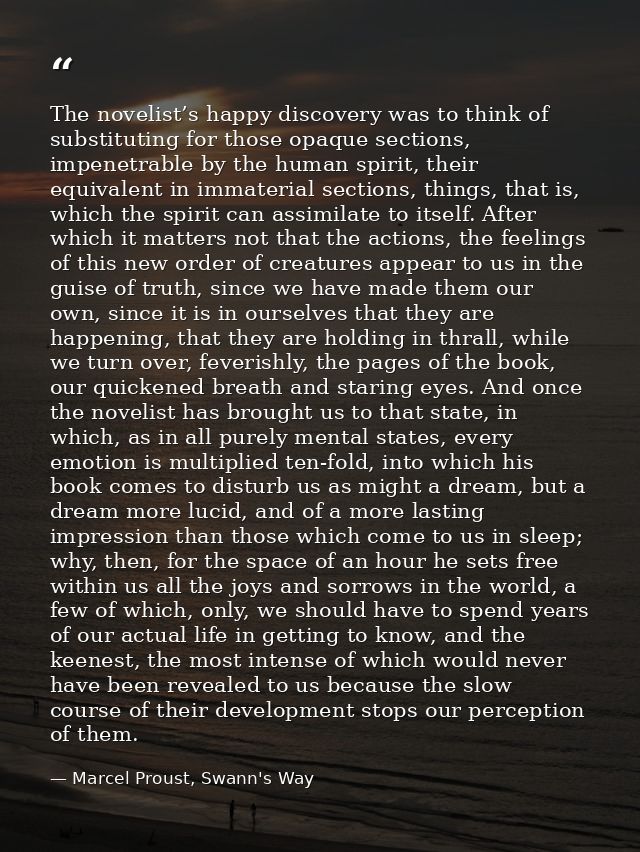 The novelist’s happy discovery was to think of substituting for those opaque sections, impenetrable by the human spirit, — Marcel Proust, Swann's Way