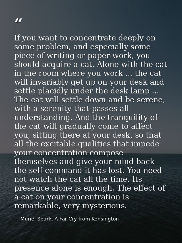 If you want to concentrate deeply on some problem, and especially some piece of writing or paper-work, you should acquir — Muriel Spark, A Far Cry from Kensington