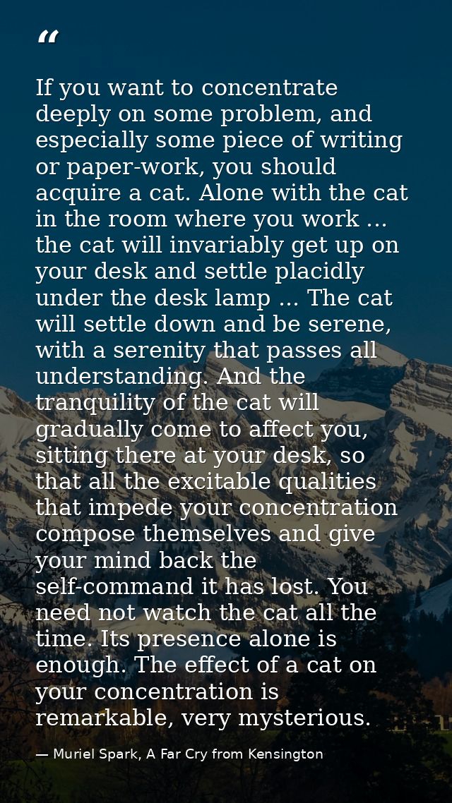 If you want to concentrate deeply on some problem, and especially some piece of writing or paper-work, you should acquir — Muriel Spark, A Far Cry from Kensington