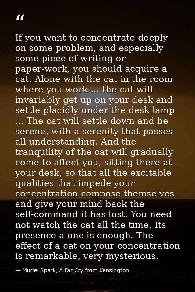 If you want to concentrate deeply on some problem, and especially some piece of writing or paper-work, you should acquir — Muriel Spark, A Far Cry from Kensington