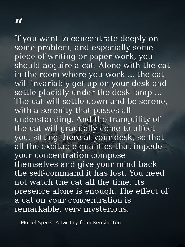 If you want to concentrate deeply on some problem, and especially some piece of writing or paper-work, you should acquir — Muriel Spark, A Far Cry from Kensington
