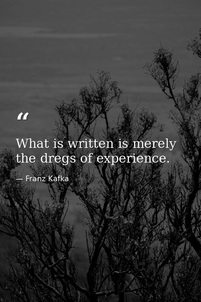 What is written is merely the dregs of experience. — Franz Kafka