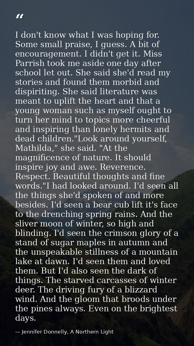 I don't know what I was hoping for. Some small praise, I guess. A bit of encouragement. I didn't get it. Miss Parrish to — Jennifer Donnelly, A Northern Light