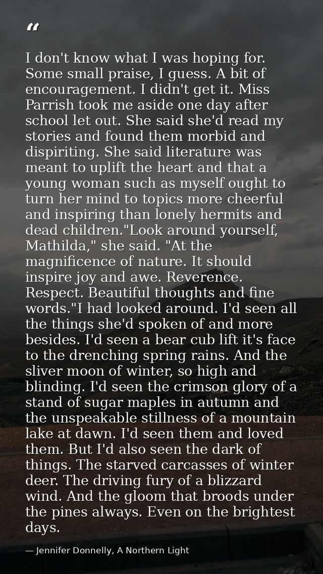 I don't know what I was hoping for. Some small praise, I guess. A bit of encouragement. I didn't get it. Miss Parrish to — Jennifer Donnelly, A Northern Light
