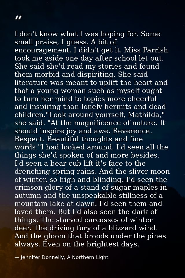 I don't know what I was hoping for. Some small praise, I guess. A bit of encouragement. I didn't get it. Miss Parrish to — Jennifer Donnelly, A Northern Light