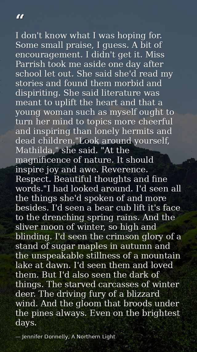 I don't know what I was hoping for. Some small praise, I guess. A bit of encouragement. I didn't get it. Miss Parrish to — Jennifer Donnelly, A Northern Light